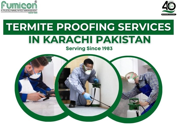 Termite Proofing Services In Karachi Pakistan